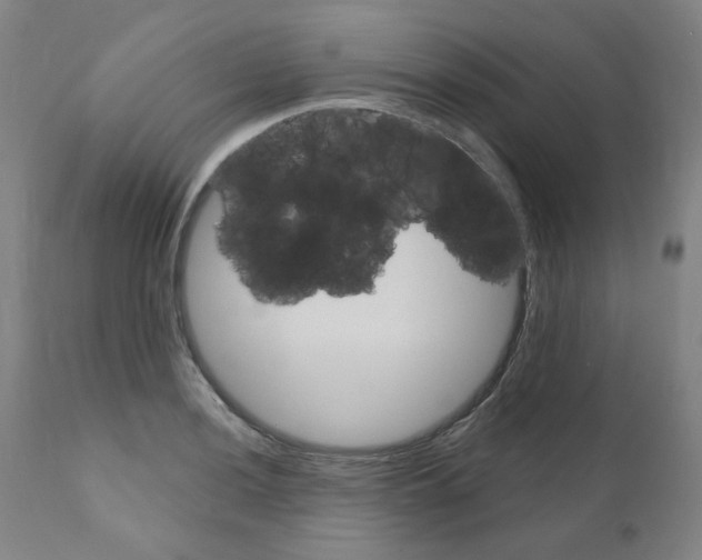 X0000110941036200907311011
