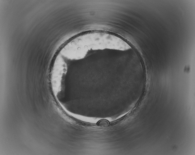 X0000110941037200907311011