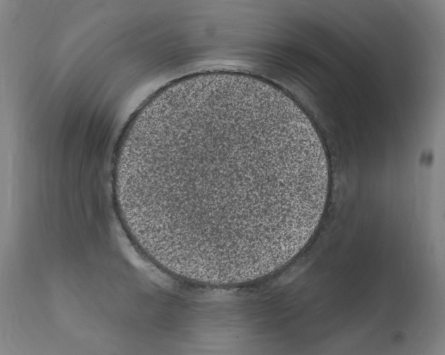 X0000110941038200907311011
