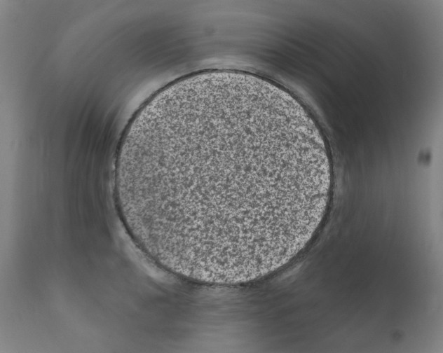 X0000110941040200907311011