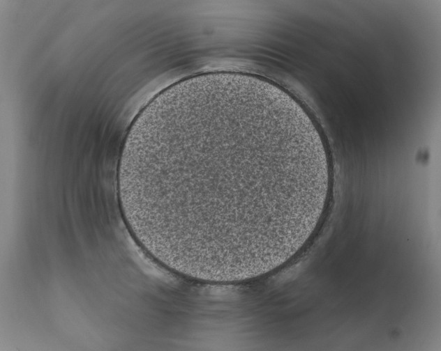 X0000110941041200907311011