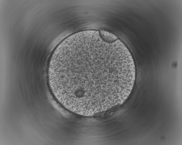 X0000110941042200907311011