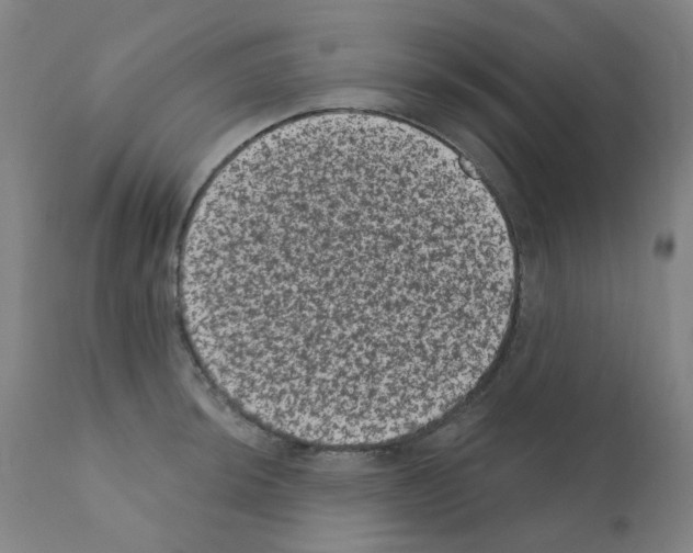 X0000110941044200907311012