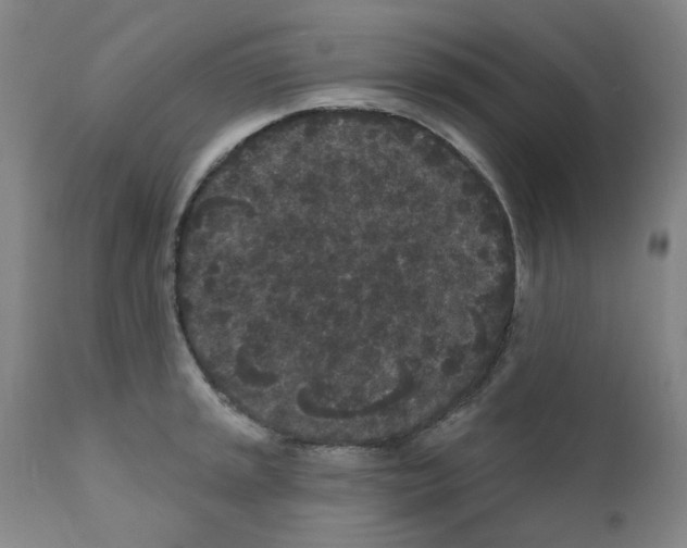 X0000110941045200907311012
