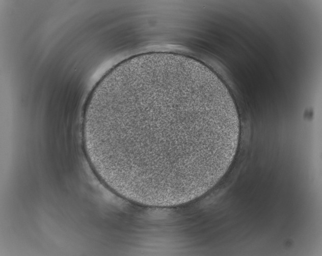 X0000110941046200907311012