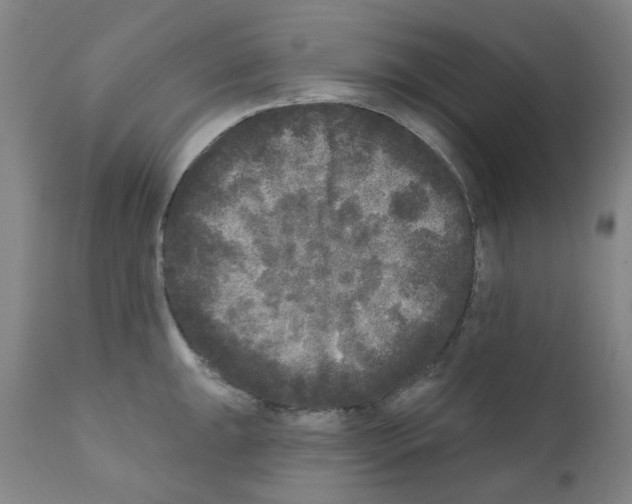 X0000110941047200907311012