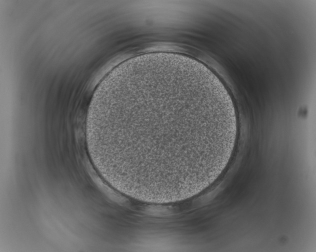 X0000110941049200907311012