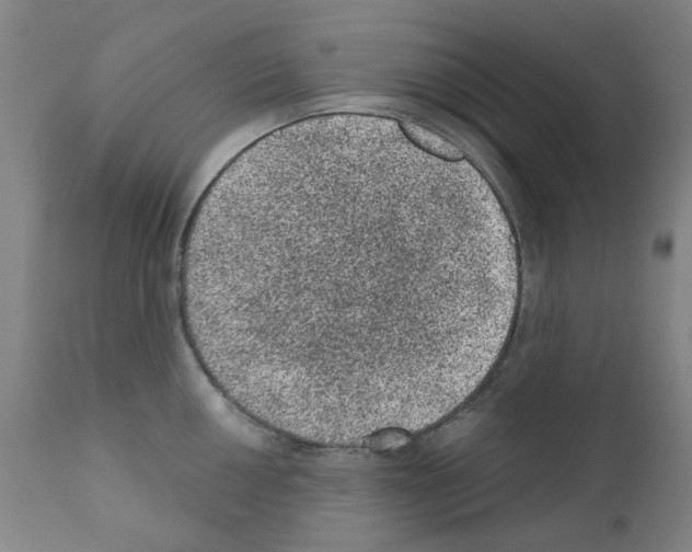X0000110941050200907311012