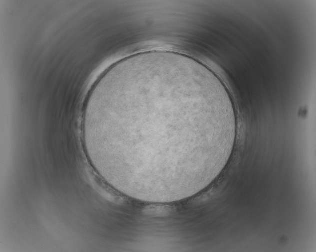 X0000110941051200907311012