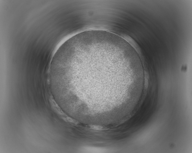X0000110941052200907311012