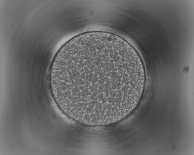 X0000110941053200907311012