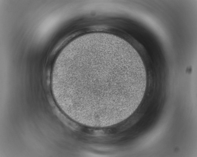 X0000110941054200907311012