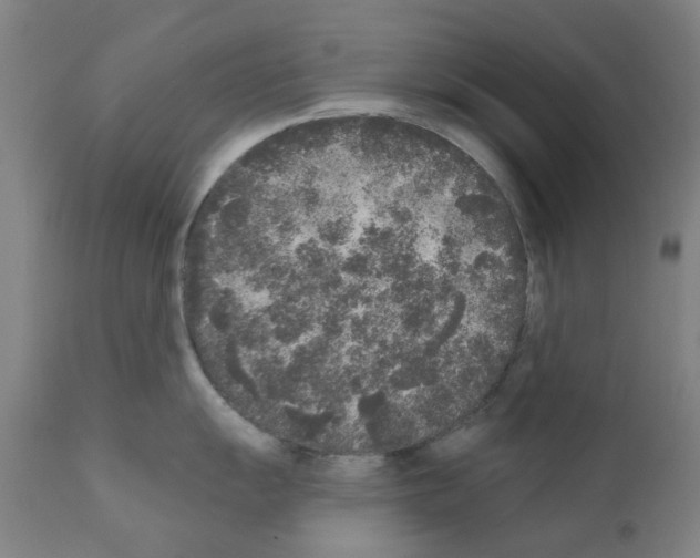 X0000110941055200907311012