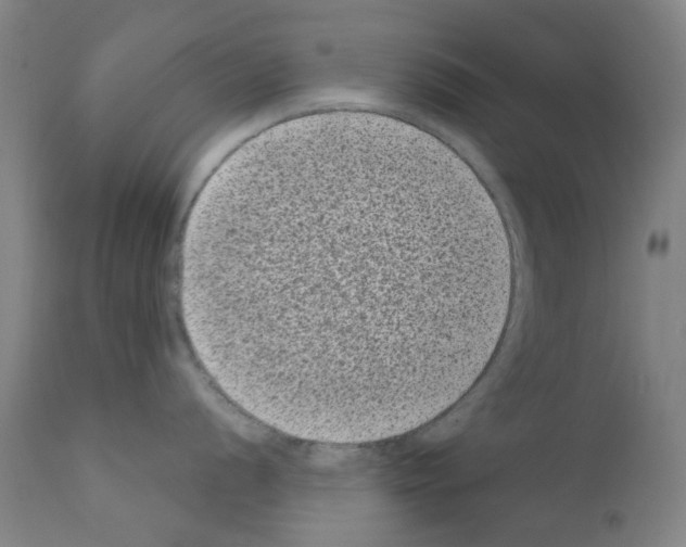 X0000110941056200907311012