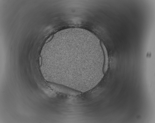 X0000110941057200907311011