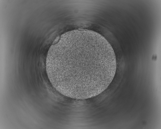 X0000110941058200907311011