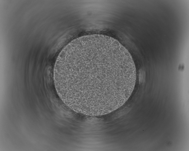 X0000110941059200907311011