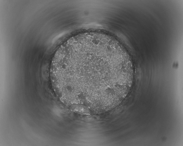 X0000110941063200907311011