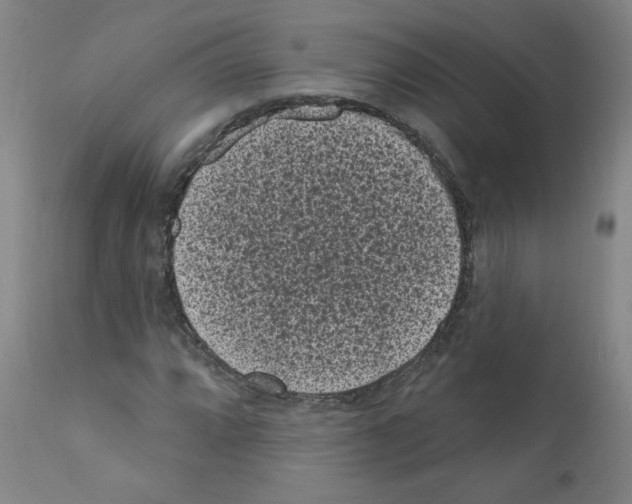 X0000110941064200907311011