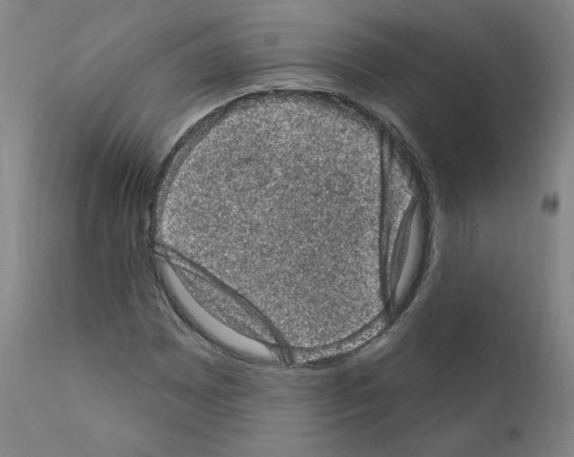 X0000110941065200907311011