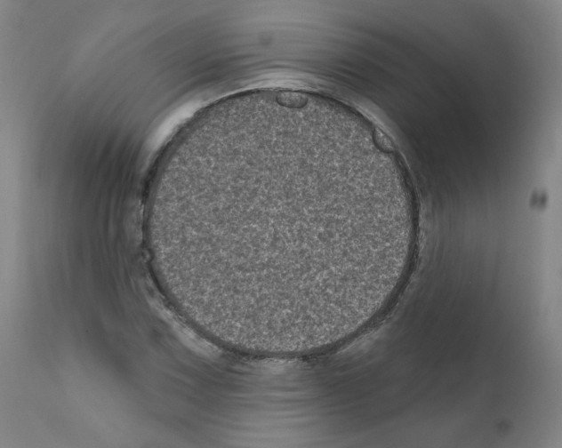 X0000110941067200907311011