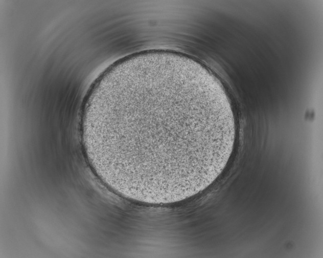 X0000110941068200907311011