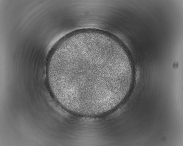 X0000110941069200907311011