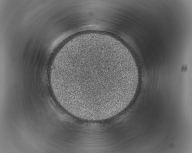 X0000110941070200907311011