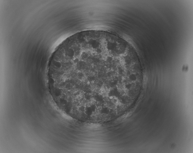 X0000110941071200907311011