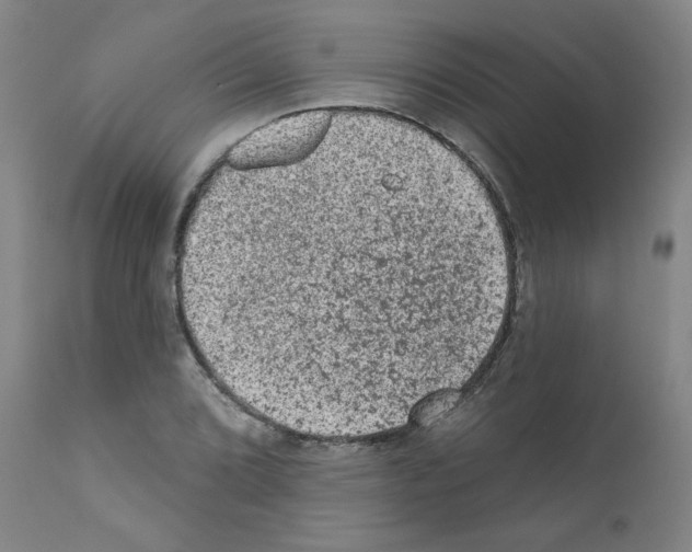 X0000110941072200907311011