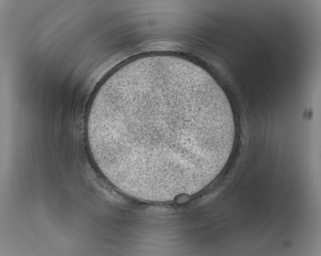 X0000110941073200907311011