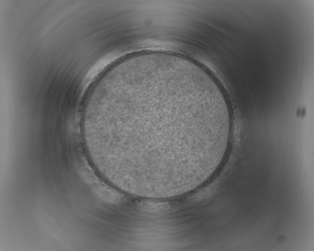 X0000110941074200907311011