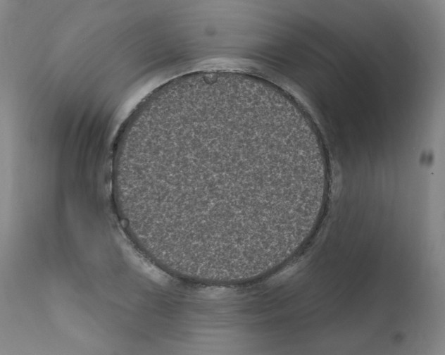 X0000110941075200907311011