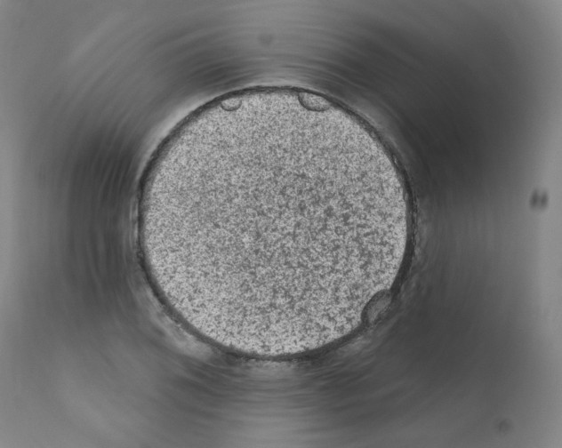 X0000110941076200907311011