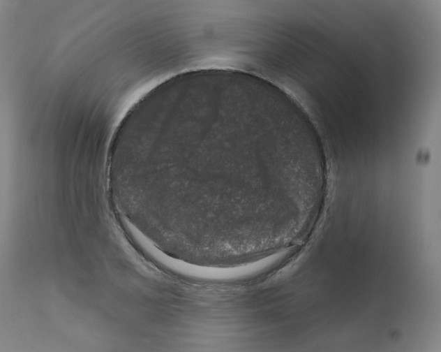 X0000110941077200907311011