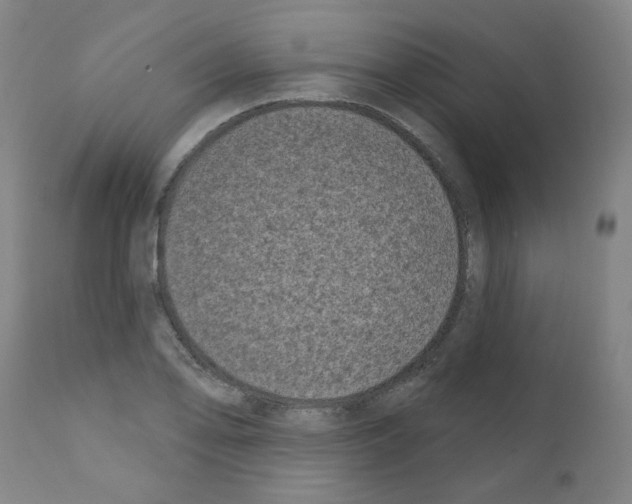 X0000110941078200907311011
