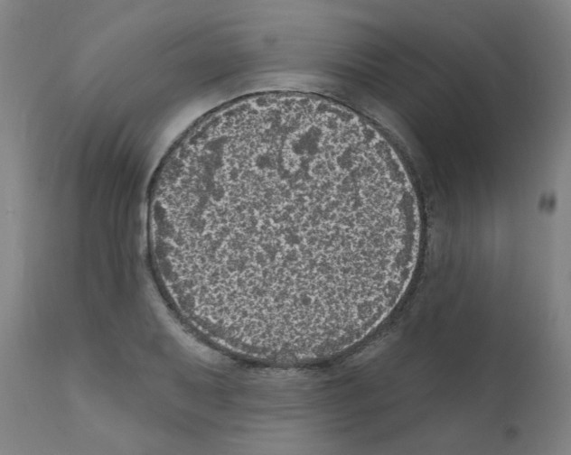 X0000110941079200907311011