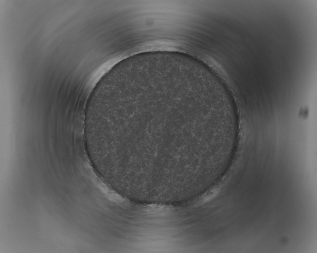 X0000110941081200907311011