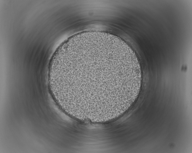 X0000110941083200907311011