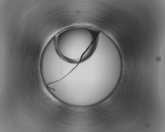 X0000110941084200907311011