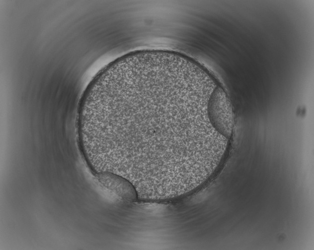 X0000110941085200907311011