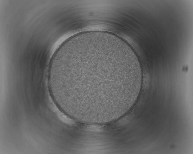 X0000110941086200907311011