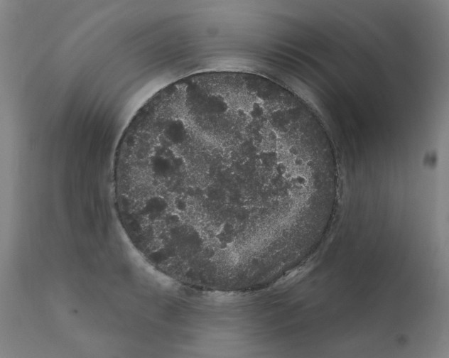 X0000110941087200907311011