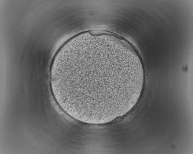 X0000110941088200907311011