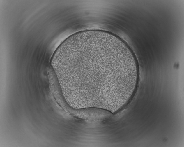 X0000110941089200907311011