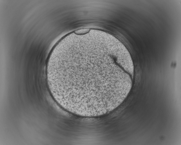 X0000110941092200907311011