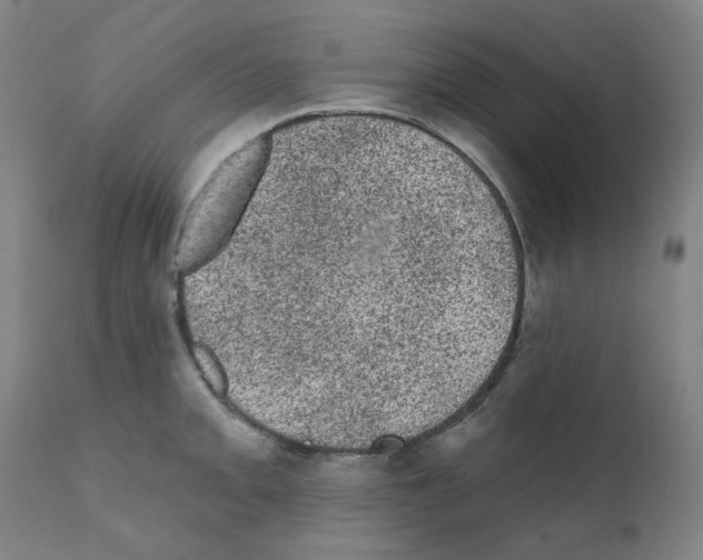 X0000110941093200907311011