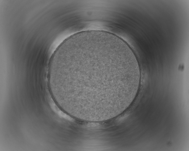 X0000110941094200907311011