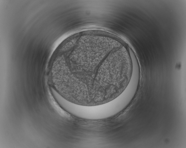X0000110941098200907311010