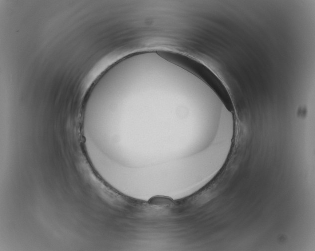 X0000110941101200907311010